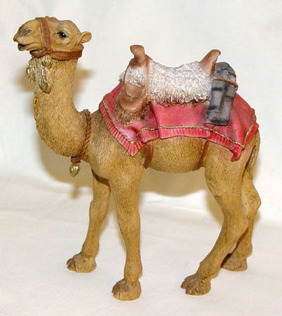 Picture for category Animals to ride