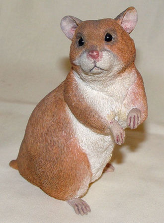 Picture for category Pets & farm animals