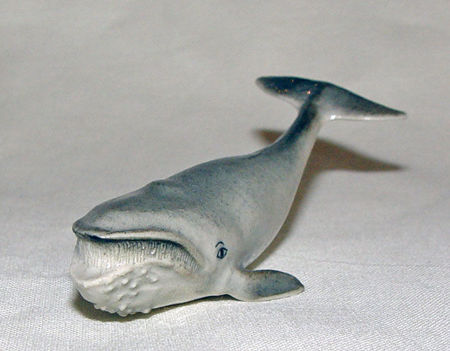 Picture for category Fish and aquatic animals