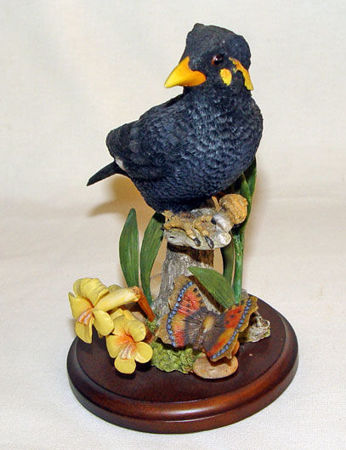 Picture for category Birds