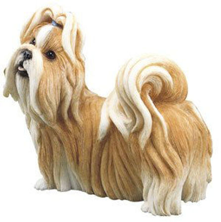 Picture for category Dogs