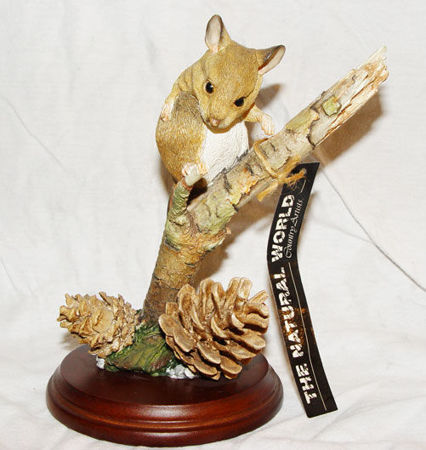 Picture for category Mouse & Mice