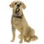 Picture of WALKIES GOLDEN LABRADOR SITTIN