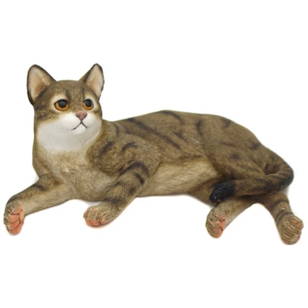 Picture of CAT LAYING TABBY
