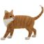 Picture of CAT STANDING GINGER & WHITE