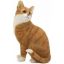 Picture of CAT SITTING GINGER & WHITE