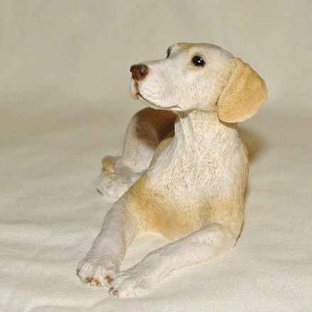 Picture of Dog - Labrador