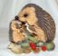 Picture of Hedgehogs