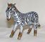 Picture of Zebra