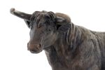 Picture of FIGURE RESIN BULL 