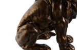 Picture of FIGURE RESIN LION 