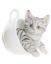 Picture of FIGURE RESIN CAT 