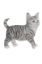 Picture of FIGURE RESIN CAT  