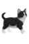 Picture of FIGURE RESIN CAT 
